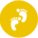公司優(yōu)勢